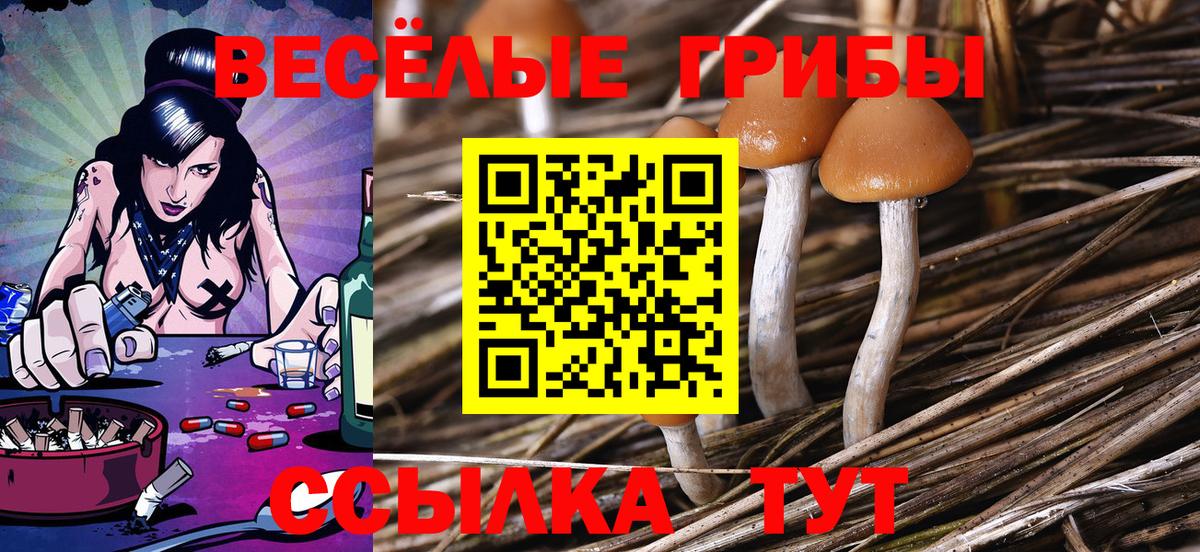 Псилоцибиновые грибы MAGIC MUSHROOMS Новокузнецк